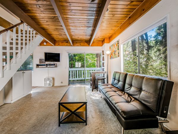 Big Bear Home 1022833