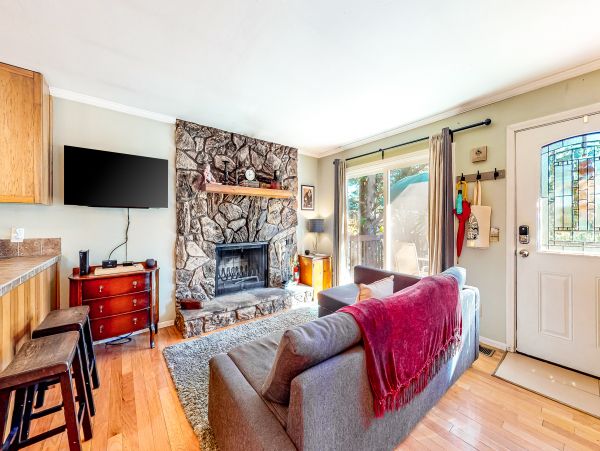 Big Bear Home 1022834