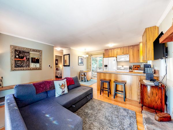 Big Bear Home 1022834