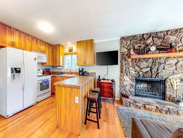 Big Bear Home 1022834