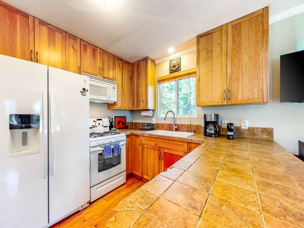 Big Bear Home 1022834