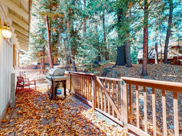 Big Bear Home 1022834