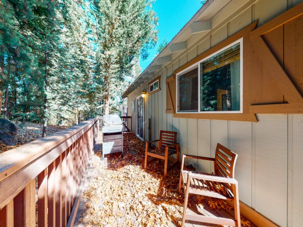 Big Bear Home 1022834