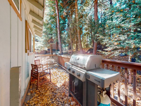 Big Bear Home 1022834
