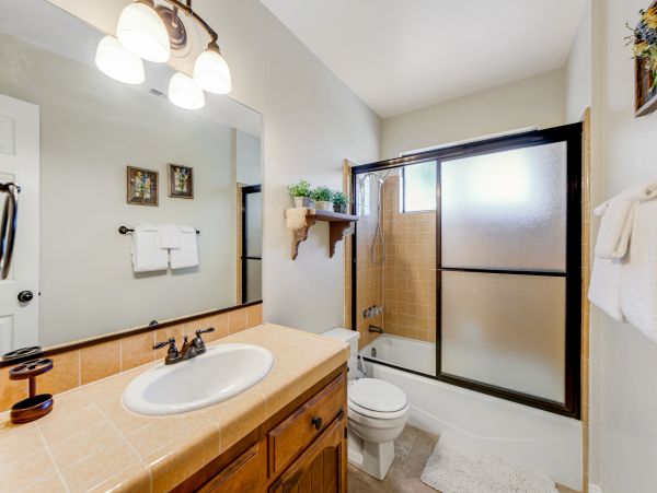 Big Bear Home 1022835