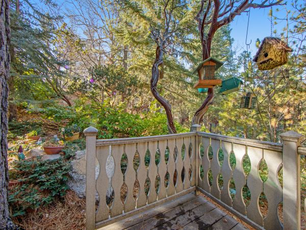 Big Bear Home 1022836