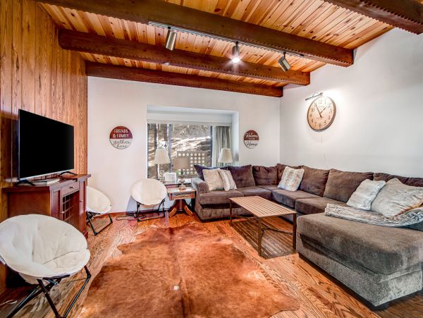 Big Bear Home 1022837