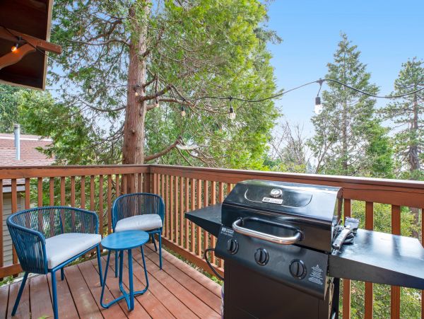 Big Bear Home 1022839