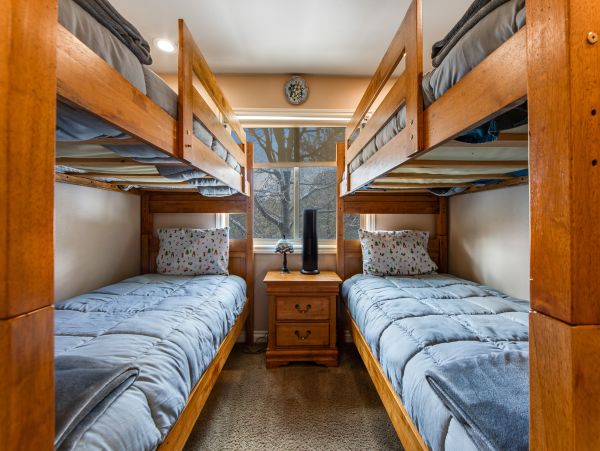 Big Bear Home 1022841