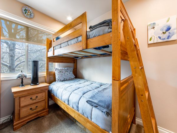 Big Bear Home 1022841