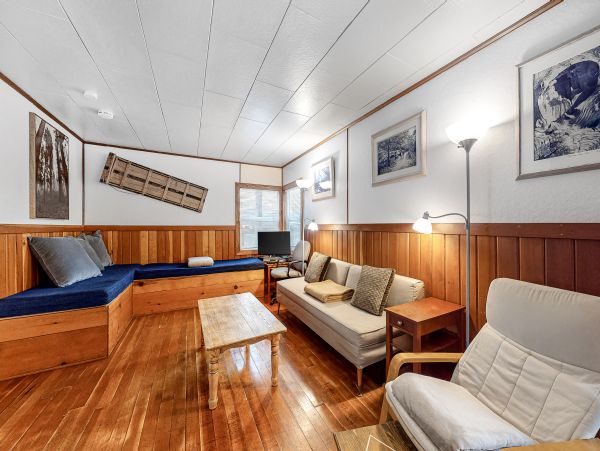 Big Bear Home 1022842