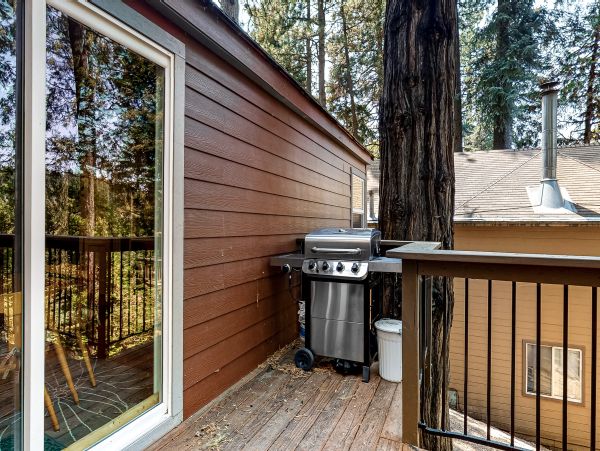 Big Bear Home 1022842