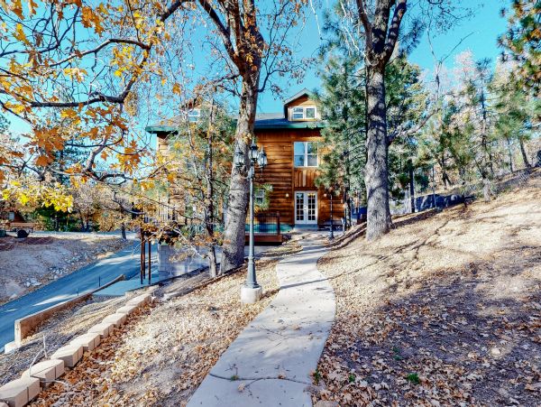 Big Bear Home 1022847