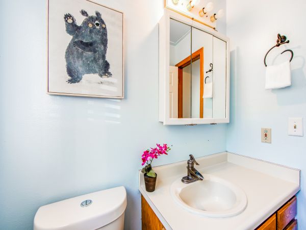Big Bear Home 1022848