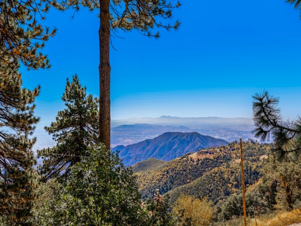 Big Bear Home 1022848