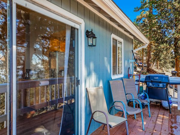 Big Bear Home 1022848