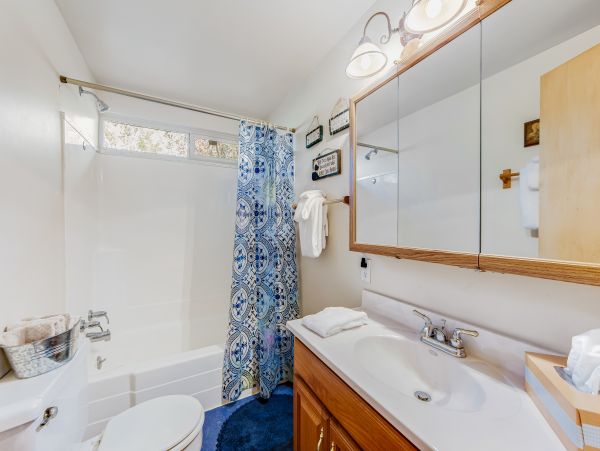 Big Bear Home 1022850