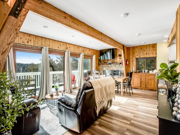 Big Bear Home 1022851