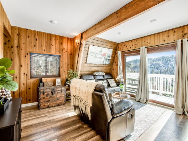 Big Bear Home 1022851
