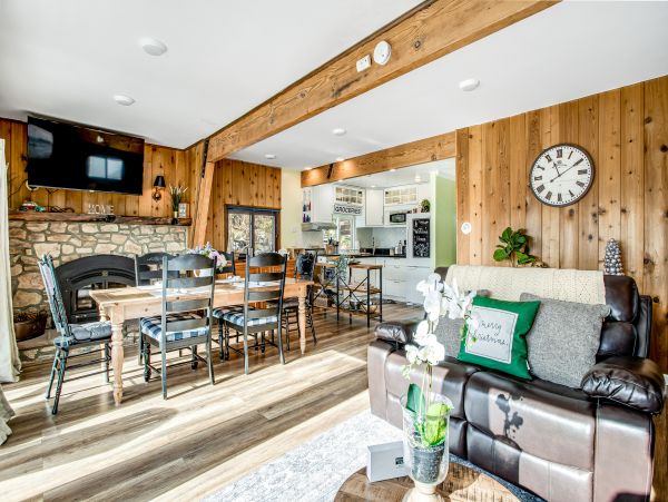 Big Bear Home 1022851