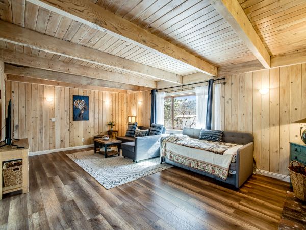 Big Bear Home 1022851