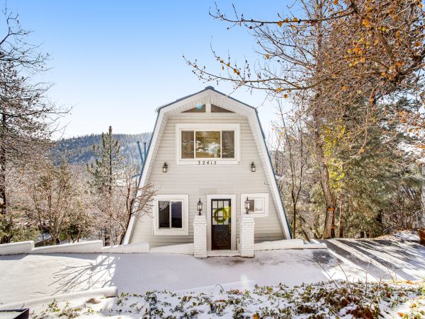 Big Bear Home 1022851