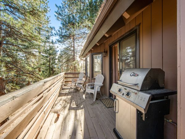 Big Bear Home 1022853