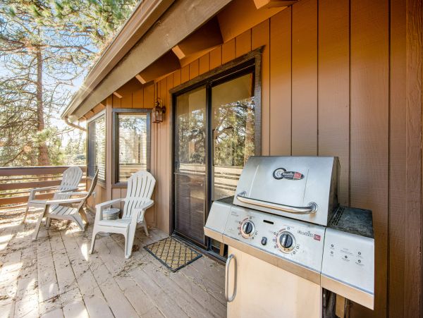 Big Bear Home 1022853