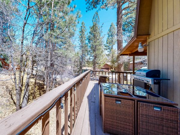 Big Bear Home 1022856
