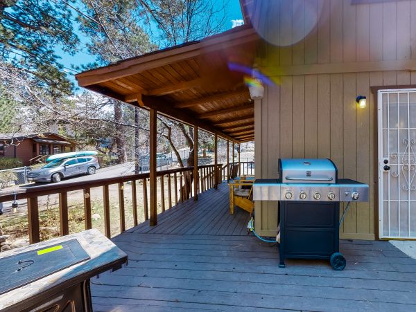 Big Bear Home 1022856