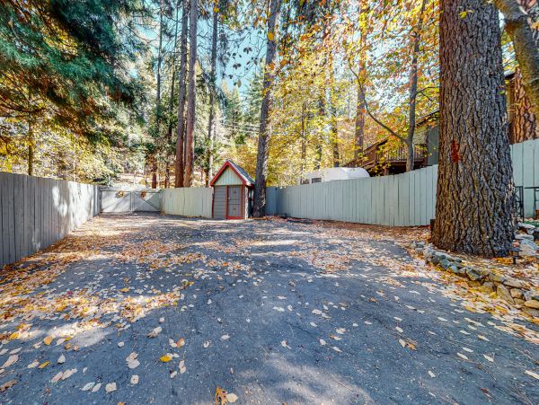 Big Bear Home 1022857