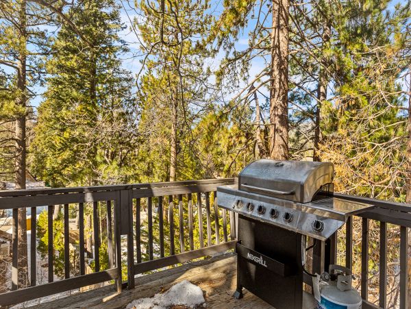 Big Bear Home 1022860