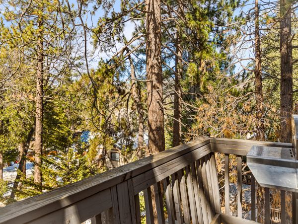 Big Bear Home 1022860