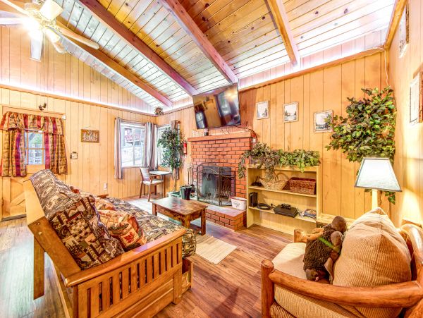 Big Bear Home 1022863