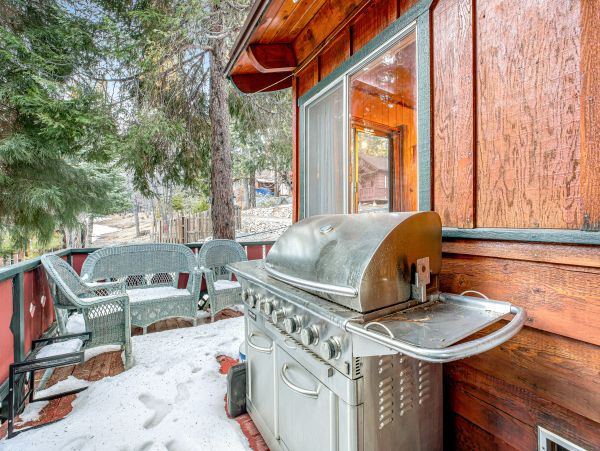 Big Bear Home 1022863