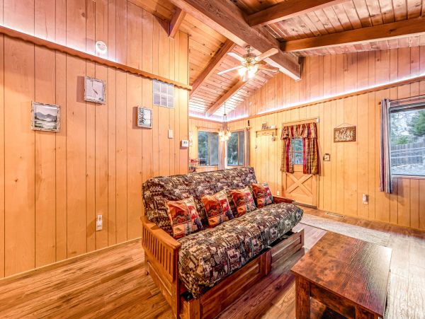 Big Bear Home 1022863