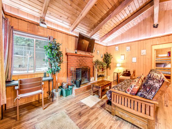 Big Bear Home 1022863