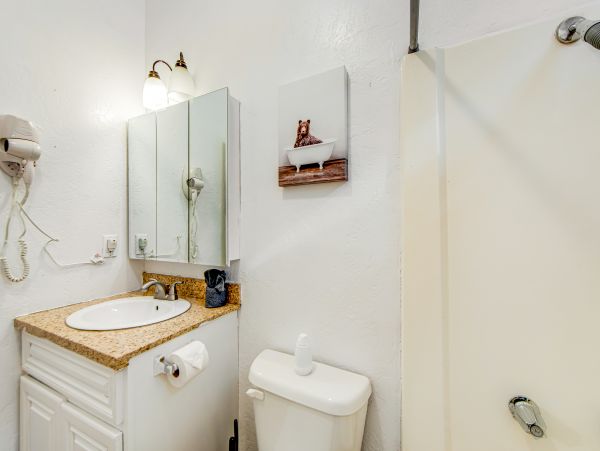 Big Bear Home 1022864