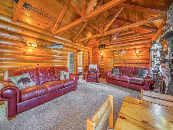 Big Bear Home 1022865