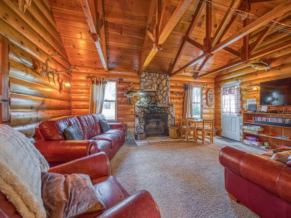 Big Bear Home 1022865