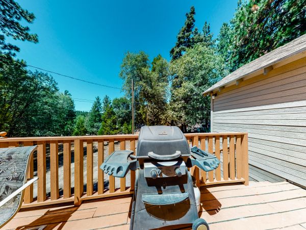 Big Bear Home 1022867