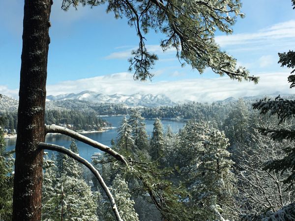Big Bear Home 1022868