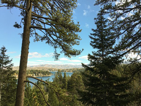 Big Bear Home 1022868