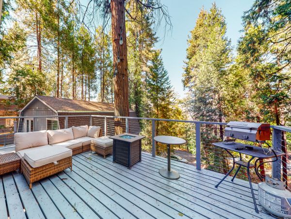 Big Bear Home 1022869