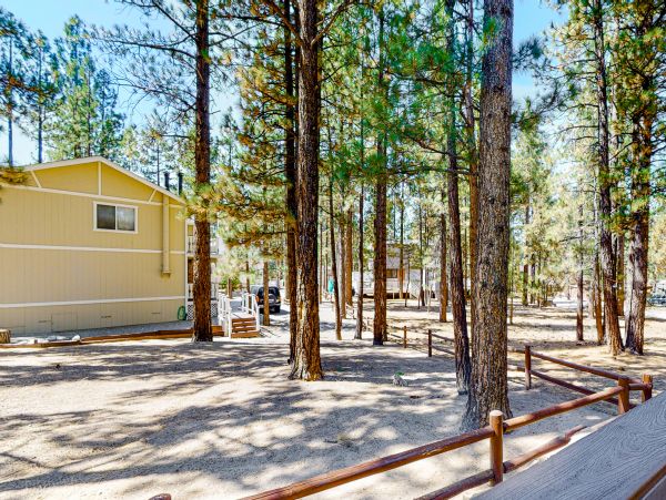 Big Bear Home 1022870