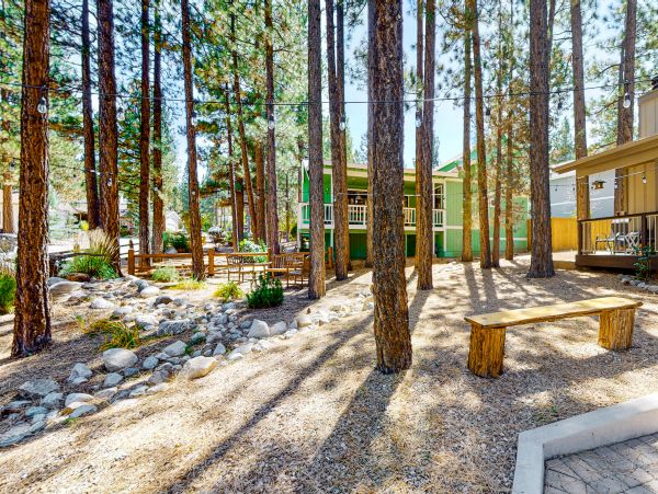 Big Bear Home 1022870