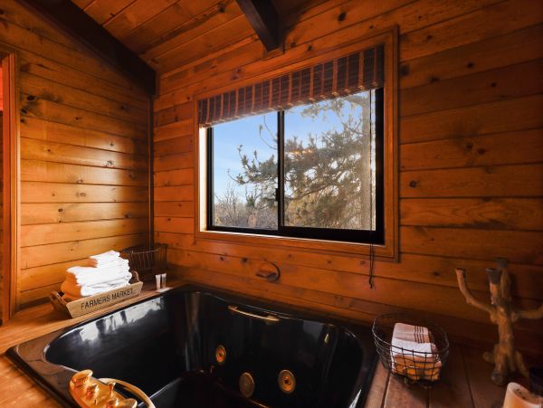Big Bear Home 1022871