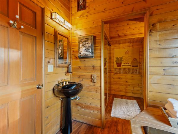 Big Bear Home 1022871