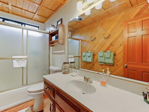 Big Bear Home 1022871