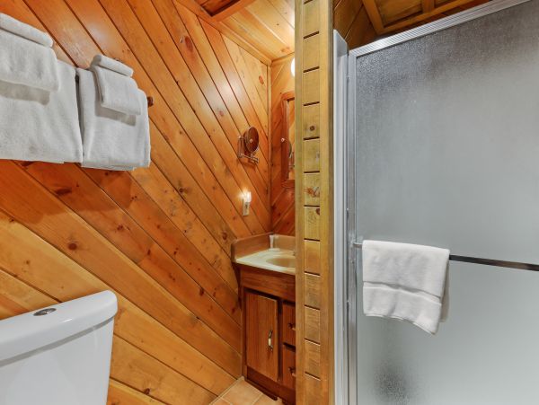 Big Bear Home 1022871